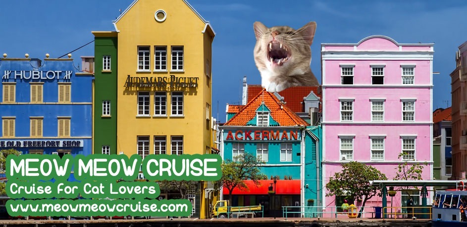 Meow Meow 2020
